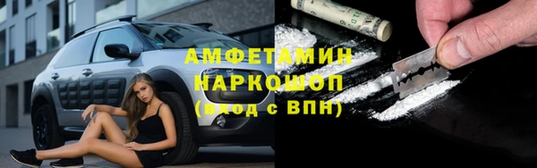 гидра Аша