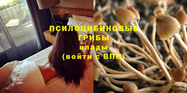 наркотики Михайловка
