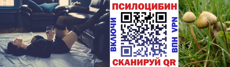 купить   кракен вход  Псилоцибиновые грибы прущие грибы  Шелехов 